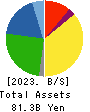KU HOLDINGS CO.,LTD. Balance Sheet 2023年Mar期 KU HOLDINGS CO.,LTD. Balance Sheet 2023年3月期