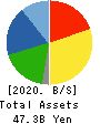 KOHSOKU CORPORATION Balance Sheet 2020年3月期