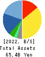 Relia,Inc. Balance Sheet 2022年3月期