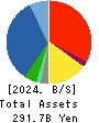 Restar Corporation Balance Sheet 2024年3月期