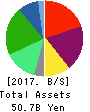 MEDICAL SYSTEM NETWORK Co.,Ltd. Balance Sheet 2017年Mar期 MEDICAL SYSTEM NETWORK Co.,Ltd. Balance Sheet 2017年3月期