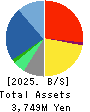 NJ Holdings Inc. Balance Sheet 2025年6月期