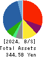 KPP GROUP HOLDINGS CO., LTD. Balance Sheet 2024年Mar期 KPP GROUP HOLDINGS CO., LTD. Balance Sheet 2024年3月期
