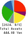VALOR HOLDINGS CO.,LTD. Balance Sheet 2024年Mar期 VALOR HOLDINGS CO.,LTD. Balance Sheet 2024年3月期