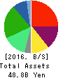 MEDICAL SYSTEM NETWORK Co.,Ltd. Balance Sheet 2016年Mar期 MEDICAL SYSTEM NETWORK Co.,Ltd. Balance Sheet 2016年3月期