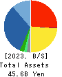DAISUE CONSTRUCTION CO.,LTD. Balance Sheet 2023年3月期