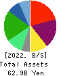 MEDICAL SYSTEM NETWORK Co.,Ltd. Balance Sheet 2022年Mar期 MEDICAL SYSTEM NETWORK Co.,Ltd. Balance Sheet 2022年3月期