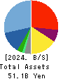 Human Holdings Co.,Ltd. Balance Sheet 2024年Mar期 Human Holdings Co.,Ltd. Balance Sheet 2024年3月期