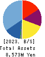 Bleach,Inc. Balance Sheet 2023年Jun期 Bleach,Inc. Balance Sheet 2023年6月期