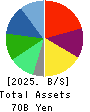 Solasto Corporation Balance Sheet 2025年Mar期 Solasto Corporation Balance Sheet 2025年3月期