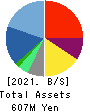 MERCURY Inc. Balance Sheet 2021年2月期