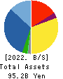 MCJ Co.,Ltd. Balance Sheet 2022年3月期