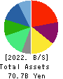 Solasto Corporation Balance Sheet 2022年Mar期 Solasto Corporation Balance Sheet 2022年3月期