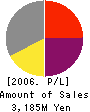 E-SYSTEM CORPORATION Profit and Loss Account 2006年12月期