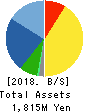 DDS,Inc. Balance Sheet 2018年12月期