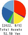 TECHMATRIX CORPORATION Balance Sheet 2022年Mar期 TECHMATRIX CORPORATION Balance Sheet 2022年3月期