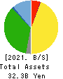 SAN HOLDINGS,INC. Balance Sheet 2021年3月期