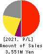 Riskmonster.com Profit and Loss Account 2021年3月期