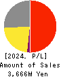 Riskmonster.com Profit and Loss Account 2024年3月期