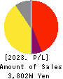 AI inside Inc. Profit and Loss Account 2023年3月期