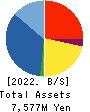 FORLIFE Co., Ltd. Balance Sheet 2022年Mar期 FORLIFE Co., Ltd. Balance Sheet 2022年3月期