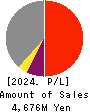 SAITA CORPORATION Profit and Loss Account 2024年6月期