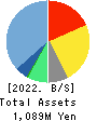 Aidemy Inc. Balance Sheet 2022年5月期