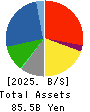 HASHIMOTO SOGYO HOLDINGS CO.,LTD. Balance Sheet 2025年3月期