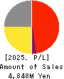 Soiken Holdings Inc. Profit and Loss Account 2025年Jun期 Soiken Holdings Inc. Profit and Loss Account 2025年6月期