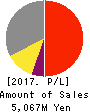 E-Guardian Inc. Profit and Loss Account 2017年9月期