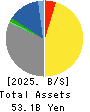 SUNCORPORATION Balance Sheet 2025年Mar期 SUNCORPORATION Balance Sheet 2025年3月期