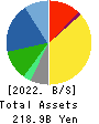 MIURA CO.,LTD. Balance Sheet 2022年Mar期 MIURA CO.,LTD. Balance Sheet 2022年3月期
