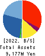 AKIBA Holdings Co., Ltd. Balance Sheet 2022年Mar期 AKIBA Holdings Co., Ltd. Balance Sheet 2022年3月期