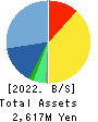 CyberBuzz, Inc. Balance Sheet 2022年9月期