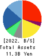Startia Holdings,Inc. Balance Sheet 2022年3月期