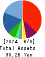 PIA CORPORATION Balance Sheet 2024年3月期