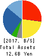Solekia Limited Balance Sheet 2017年Mar期 Solekia Limited Balance Sheet 2017年3月期