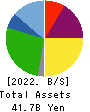 Amvis Holdings,Inc. Balance Sheet 2022年9月期