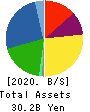 ASTI CORPORATION Balance Sheet 2020年3月期