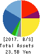 FTGroup CO.,LTD. Balance Sheet 2017年Mar期 FTGroup CO.,LTD. Balance Sheet 2017年3月期