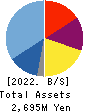 Nyle Inc. Balance Sheet 2022年12月期