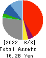 Solvvy Inc. Balance Sheet 2022年6月期