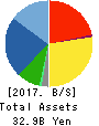 AINAVO HOLDINGS Co.,Ltd. Balance Sheet 2017年Sep期 AINAVO HOLDINGS Co.,Ltd. Balance Sheet 2017年9月期