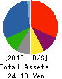 SHINYEI KAISHA Balance Sheet 2018年3月期
