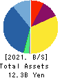 SRE Holdings Corporation Balance Sheet 2021年3月期