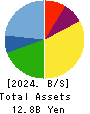 Institute for Q-shu Pioneers of Space Balance Sheet 2024年5月期