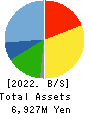 VIS co.ltd. Balance Sheet 2022年3月期