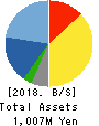 AUN CONSULTING,Inc. Balance Sheet 2018年5月期