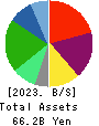 MEDICAL SYSTEM NETWORK Co.,Ltd. Balance Sheet 2023年Mar期 MEDICAL SYSTEM NETWORK Co.,Ltd. Balance Sheet 2023年3月期