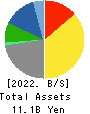 DANTO HOLDINGS CORPORATION Balance Sheet 2022年12月期